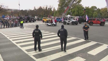 How to honor Veterans Day 2024 in the DC area – NBC4 Washington