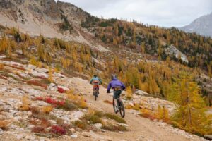 Things to Do – Washington.org