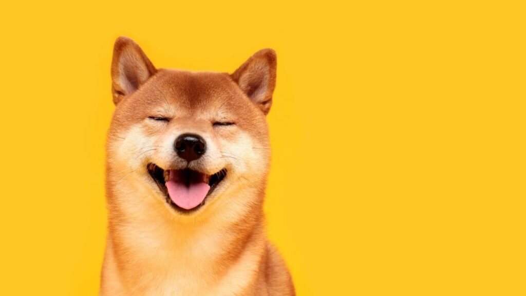 How DOGE cracked Washington: A focus on arcane agencies gave Musk and his allies swift control of government nerve centers – CNN