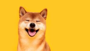 How DOGE cracked Washington: A focus on arcane agencies gave Musk and his allies swift control of government nerve centers – CNN