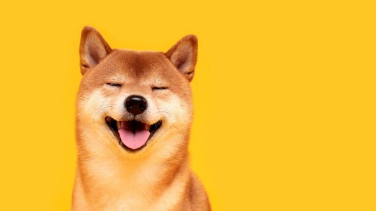 How DOGE cracked Washington: A focus on arcane agencies gave Musk and his allies swift control of government nerve centers – CNN