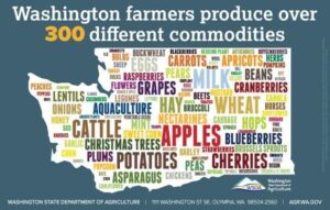 Build My Export Plan – Washington State Department of Commerce (.gov)