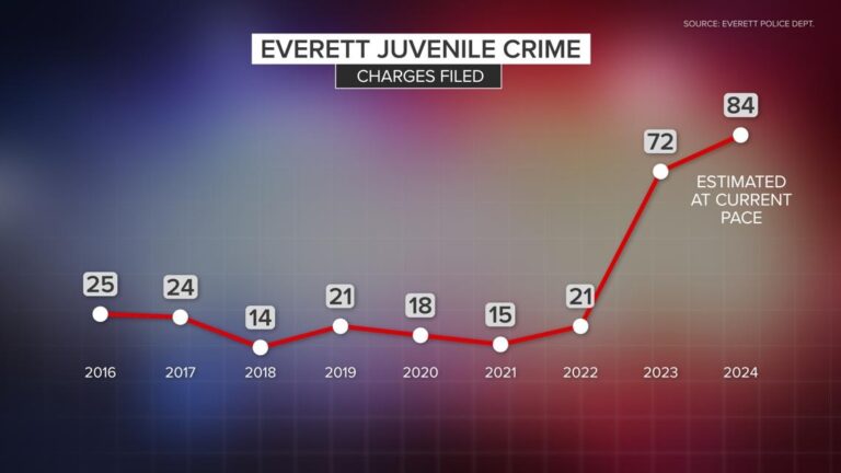 Juvenile crime rates in Washington returning to pre-pandemic levels, with vehicle thefts exceeding – KING5.com