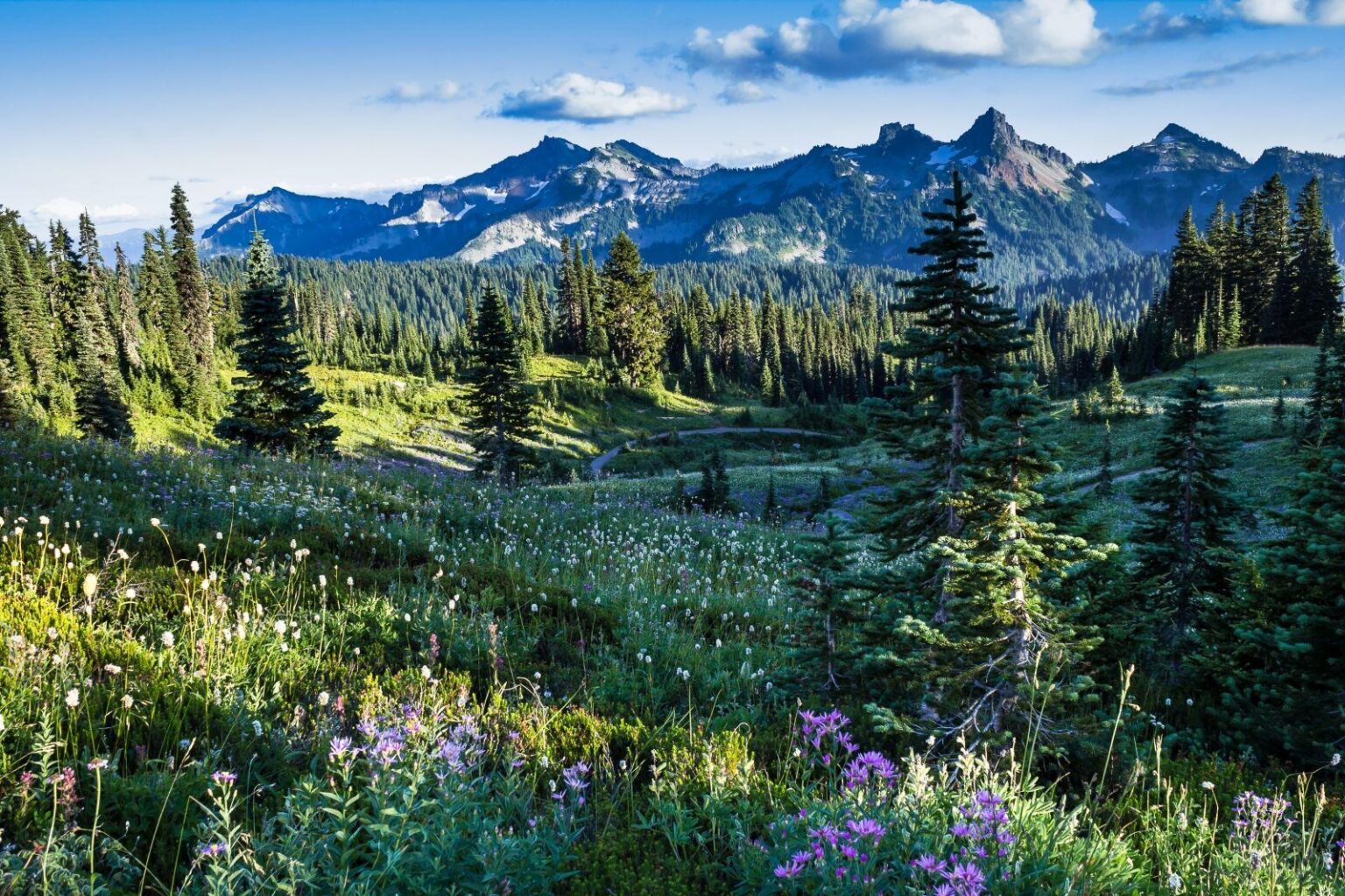 Why Washington Is the Best State in America – U.S. News & World Report