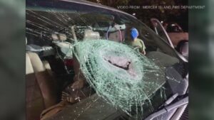 Highway crimes increasing in Washington as traffic returns to near pre-pandemic levels – KING5.com