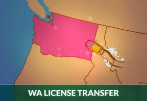Washington State DL transfer David Gusta commits to Kentucky – On3