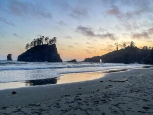 WA seeing fewer Canadians after Trump, tariffs and talk of ‘51st state’ – The Seattle Times