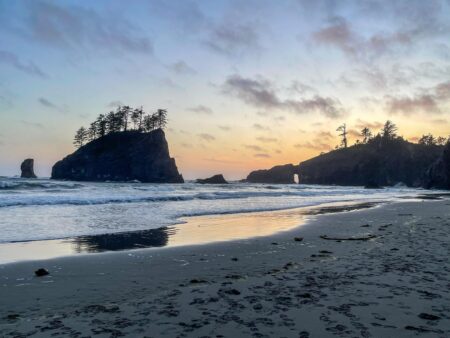 WA seeing fewer Canadians after Trump, tariffs and talk of ‘51st state’ – The Seattle Times