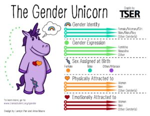 Gender identity lessons, banned in some schools, are rising in others – The Washington Post