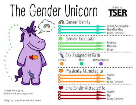 Gender identity lessons, banned in some schools, are rising in others – The Washington Post