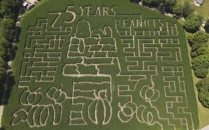 Farmers honor ‘Peanuts’ creator Charles M. Schulz with corn mazes across US and in Canada – NBC4 Washington
