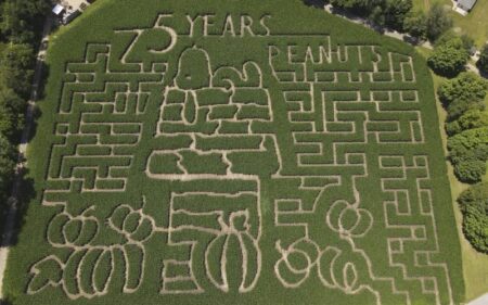 Farmers honor ‘Peanuts’ creator Charles M. Schulz with corn mazes across US and in Canada – NBC4 Washington