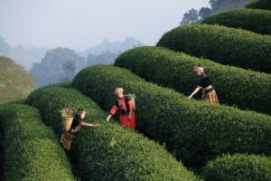 Tours and Merchandise: Explore Aviation Like an Insider Tours and Merchandise – The Boeing Company