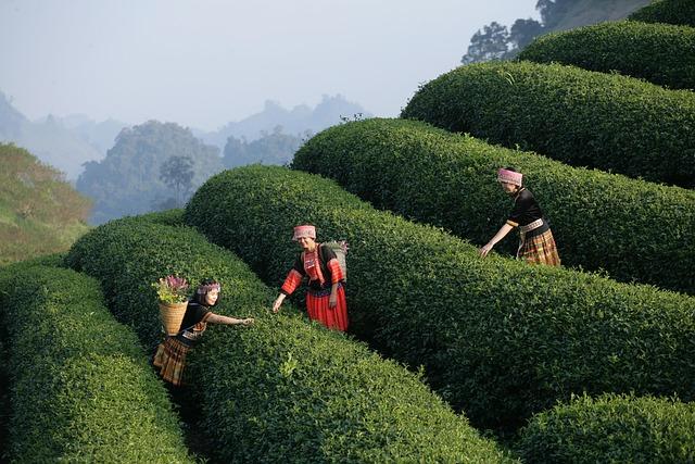 Tours and Merchandise: Explore Aviation Like an Insider Tours and Merchandise – The Boeing Company