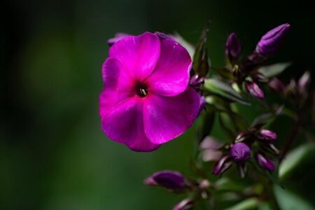 Commanders Reporter Nicki Jhabvala Jumps from Washington Post to The Athletic Commanders reporter Nicki Jhabvala leaves Washington Post for The Athletic – Awful Announcing