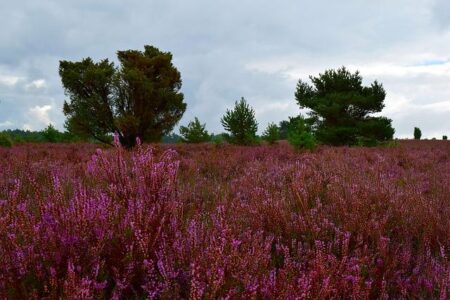 Erika Kirk endorses J.D. Vance for president at annual Turning Point USA conference – Washington Times