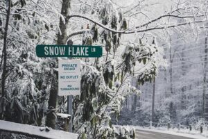 Snowflake Lane finale, holiday shows, more Seattle weekend events – Seattle Post-Intelligencer