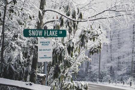 Snowflake Lane Finale, Dazzling Holiday Shows, and More Seattle Weekend Events Snowflake Lane finale, holiday shows, more Seattle weekend events – Seattle Post-Intelligencer