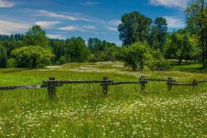 Watch: Drone footage shows extent of flooding in Washington state – BBC