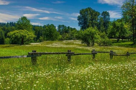 Is Washington state fun? These are the 10 most fun states in America, new study says – Kitsap Sun