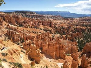 Homicide Falls Sharply in Major U.S. Cities Amid Continuing Decline in Overall Crime – Council on Criminal Justice