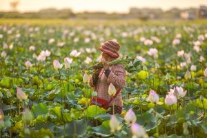 Washington Politics Are Deepening the Mental Health Crisis Among America’s Farmers Washington Politics Adding To Mental Health Crisis Among Farmers – NPR