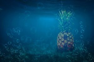 Bob Menendez isn’t the only corrupt politician in Washington – The Bowdoin Orient