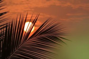 DHS, FBI warn large-scale events could be target for violence – abcnews.com