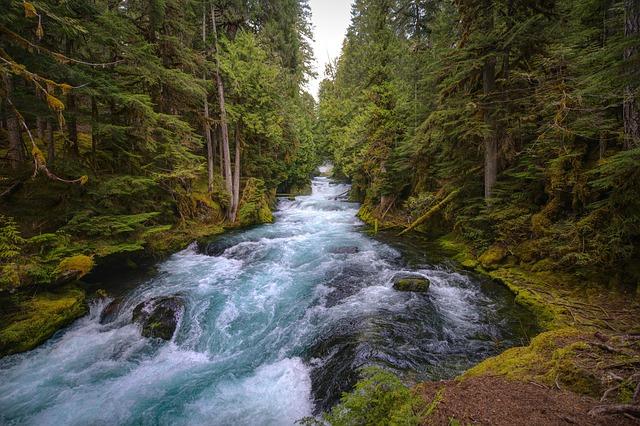 These are Oregon and S.W. Washington’s 38 publicly traded companies – The Business Journals