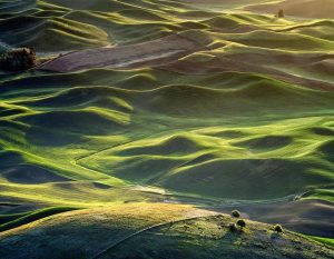 Washington: educational attainment of population U.S. 2023 – Statista