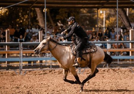 Your Ticket to Elite Sport, Epic Entertainment, and Family Fun, All at Washington International Horse Show! – USET Foundation