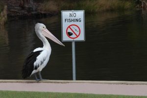 Senators Reintroduce “No Fakes” Bill Taking on AI Deepfakes – The Hollywood Reporter