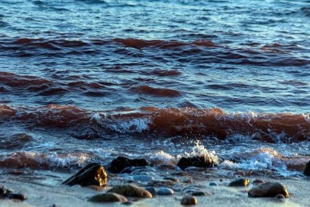 Trump Floats Charging Nations to Use Strait of Hormuz Amid Escalating Tensions with Iran Trump says US could charge for Strait of Hormuz passage amid Iran war – Al Jazeera