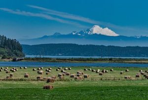 Washington is America’s Top State for Business in 2017 – CNBC