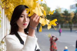 University of Washington student found fatally stabbed, police say – USA Today
