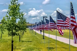 Veterans Day: Here’s a list of events on the National Mall for Saturday – WUSA9