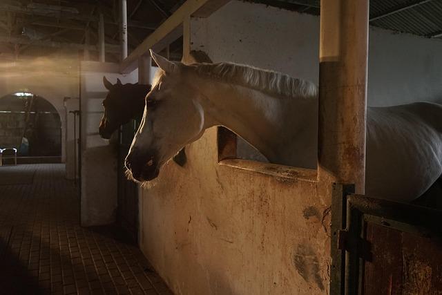 Discover the U.S. Park Police Horse Stables and Education Center U.S. Park Police Horse Stables and Education Center – Trust for the National Mall