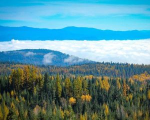 Do you live here? Washington county named among top 10 fastest-growing in U.S. – MyNorthwest.com