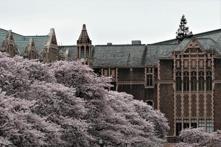 UW named among top global schools, according to new rankings – Kitsap Sun