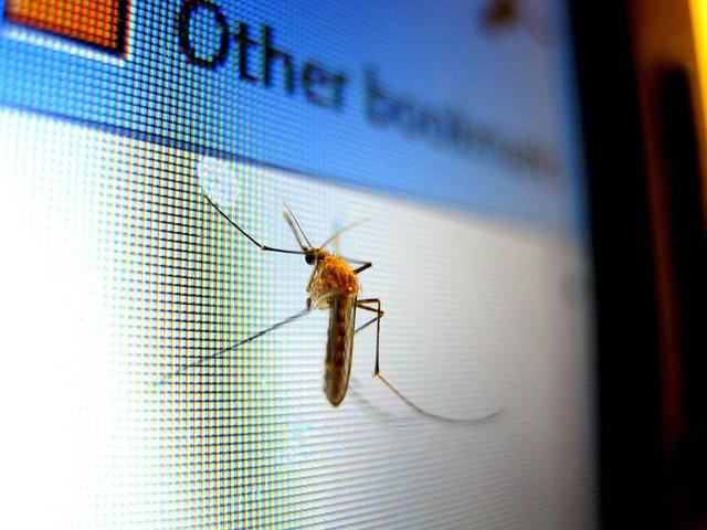 Diarrhea-Causing Parasite Spreads in Washington Amid Growing U.S. Outbreak: What You Need to Know Diarrhea-inducing parasite cases reported in WA amid US outbreak. What to know – Tacoma News Tribune
