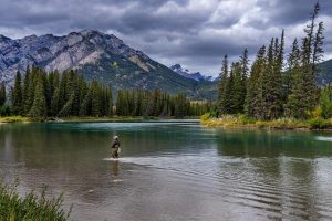 Best national parks in the United States? Survey says 2 are in Washington state – Tacoma News Tribune