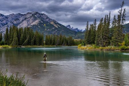Survey reveals two of America’s favorite national parks are in Washington State Best national parks in the United States? Survey says 2 are in Washington state – Tacoma News Tribune