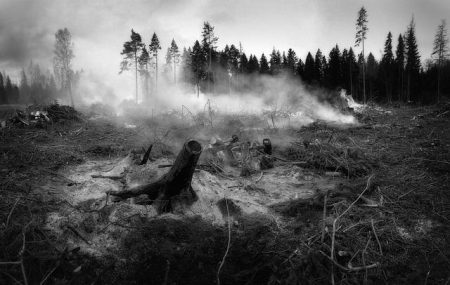 ‘Nightmare Situation’: At Least 700 Structures Destroyed in Devastating Washington Wildfires ‘Nightmare situation’: At least 700 structures destroyed in Washington wildfires – abcnews.com