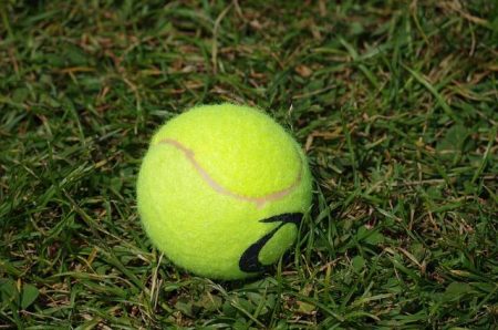 Draper withdraws from Washington Open due to arm injury – beIN SPORTS