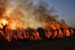 Spokane Wildfires Explode in Size, Forcing 65,000 Residents to Flee Their Homes Spokane wildfires expand, force 65,000 from their homes in Washington – USA Today