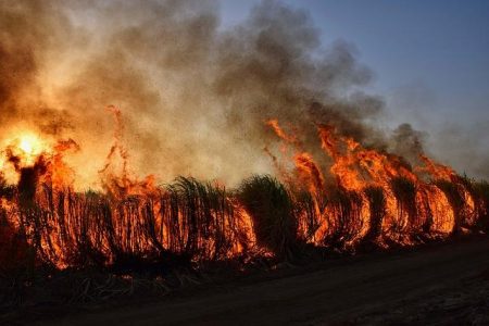 Spokane Wildfires Explode in Size, Forcing 65,000 Residents to Flee Their Homes Spokane wildfires expand, force 65,000 from their homes in Washington – USA Today