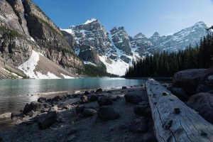 ‘Everything Is Not Fine’: Washington Businesses Fear New Canada Tariffs Will Drive Away Shoppers ‘Everything is not fine’: Washington businesses fear new Canada tariffs could drive away shoppers – krem.com