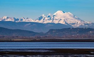 Seaplane Crashes in Washington State, All 11 People on Board Accounted For Seaplane crashes in Washington state, all 11 people on board accounted for – NBC News