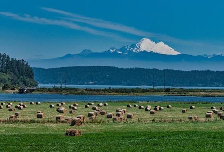 How Will a Government Shutdown Hit Washington State? It Depends How will the government shutdown hit Washington state? It depends – KUOW