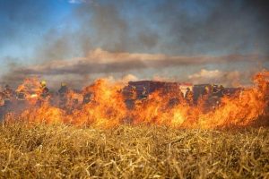 Kaiser Canyon Fire in Washington: Live Wildfire Map and Key Updates Wildfire Map Spotlight: Kaiser Canyon Fire, Washington – IQAir